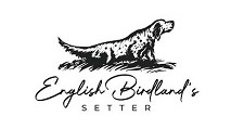 logo english birdland 01