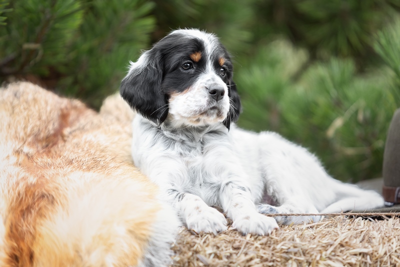 images/seitenfotos/es-hover02.jpg#joomlaImage://local-images/seitenfotos/es-hover02.jpg?width=800&height=533