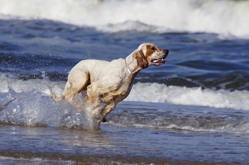 images/seitenfotos/es-hover3.jpg#joomlaImage://local-images/seitenfotos/es-hover3.jpg?width=800&height=533